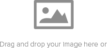 Drag and drop your image here or